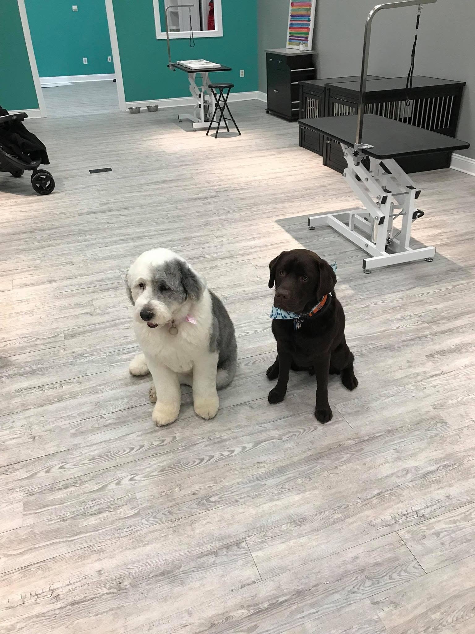 Frank and Murphy in the salon